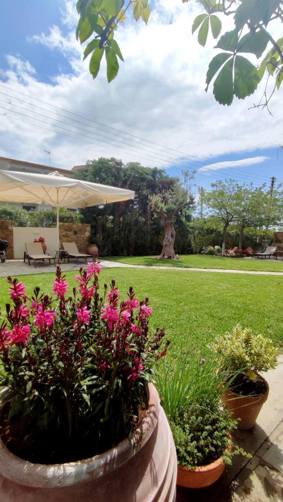 Coel Luxury Suites By Rentalspro Services - Potidea Halkidiki Νέα Ποτίδαια Εξωτερικό φωτογραφία